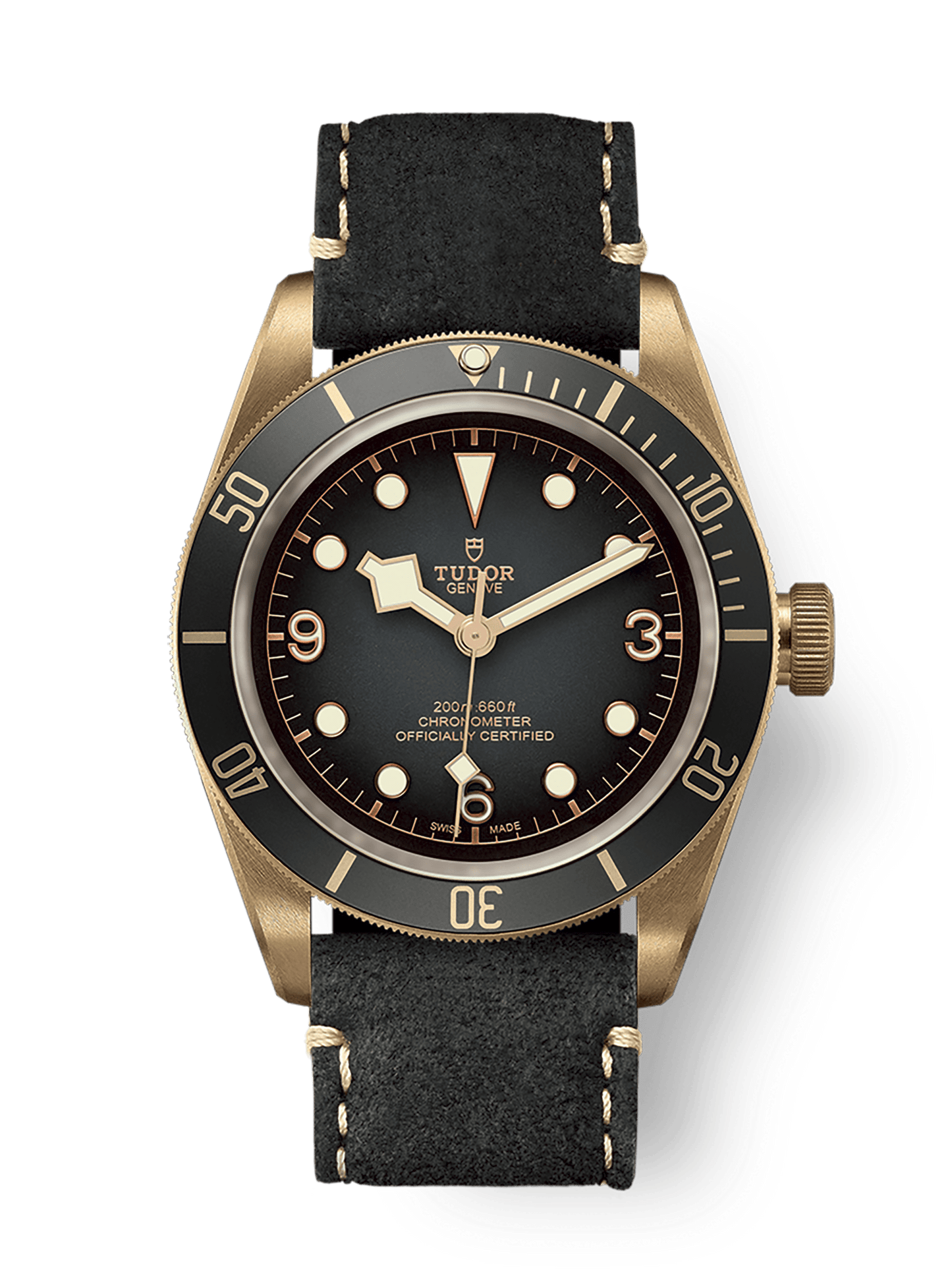 Tudor Black Bay Bronze 43 mm Slate Grey Dial Bronze Leather Strap M79250BA-0001